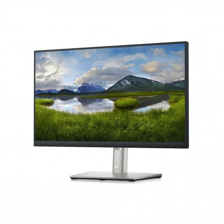 Écran Dell 22 P2222H (21.5")  HDMI, VGA, DisplayPort